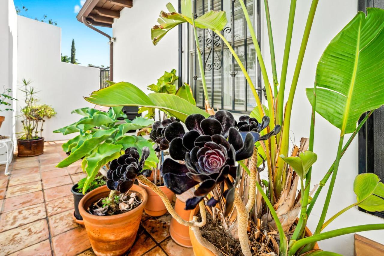Hollywood Hills Homestay Los Angeles Exteriér fotografie